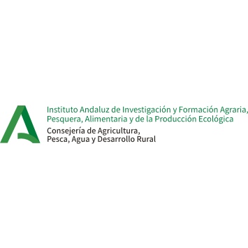 Junta Logo