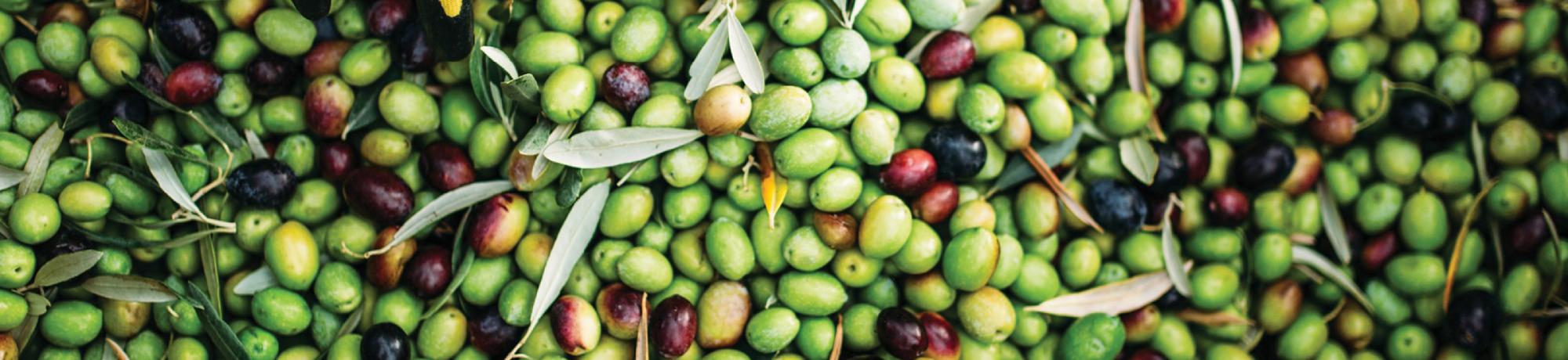 olives